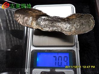 398_130518_b1c5642b9ddb7f8.jpg
