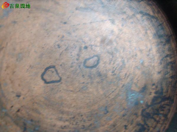 116_56617_c08e563000aaf99.jpg