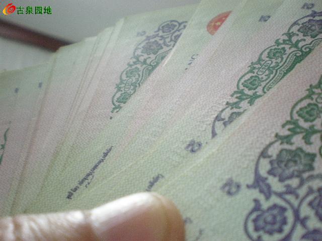 600_80693_332d8c1881a3bbf.jpg
