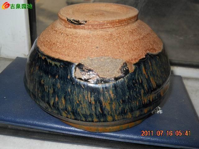 606_67153_59fe44552233cdd.jpg