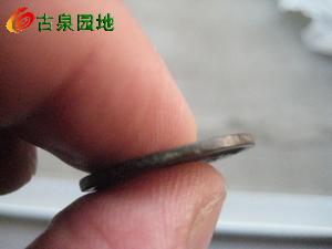 3_64225_f62118dd0d36389.jpg