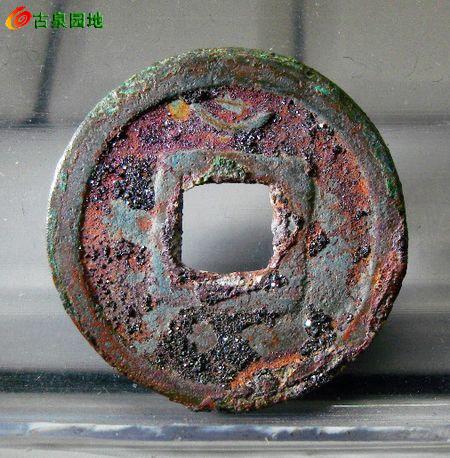 21_98095_40b7bc596dccdd3.jpg