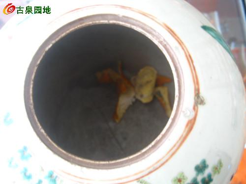 606_53421_19be443d77cd529.jpg