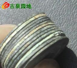 25_83060_1eafc696c99676c.jpg