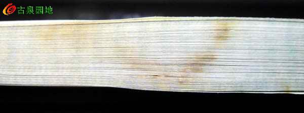 600_68832_8de3aa0ff96c856.jpg