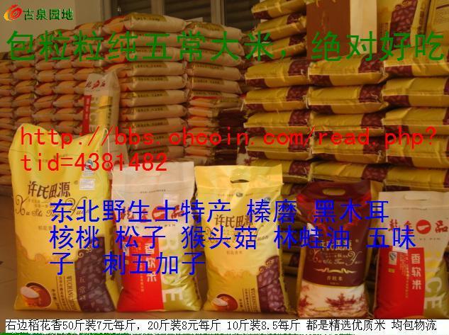 605_46263_fe4f2aeb63fc0ab.jpg