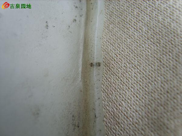 605_56617_e50429a1b71fbac.jpg