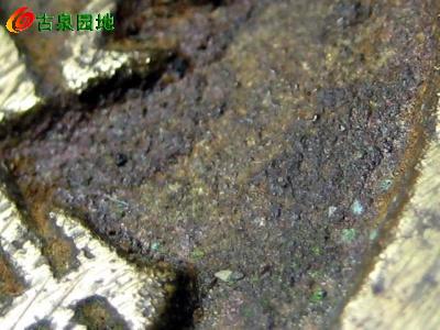 599_53421_910831ce1758622.jpg