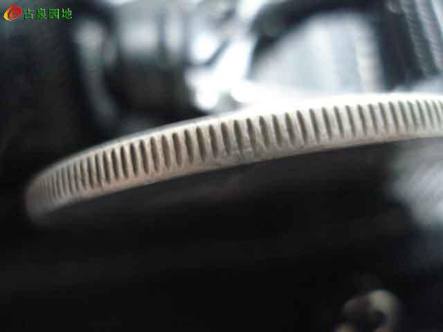 572_59518_48d8115386afe81.jpg