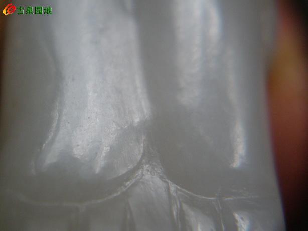 605_101385_9b032bab9ab61be.jpg