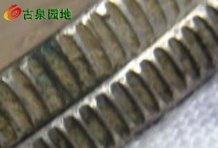 398_66606_b8a2e8e48e5d31c.jpg