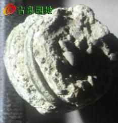 25_83060_72e5aaaef0b2792.jpg