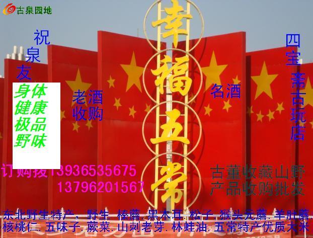 23_46263_db68dfcc88e5c03.jpg