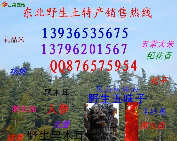 23_46263_efc1263d5041cec.jpg