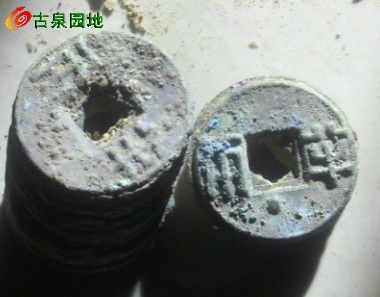 21_83060_cc61eebf75bd314.jpg