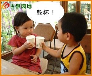 2_4595_4fcc61e74b95cc9.jpg