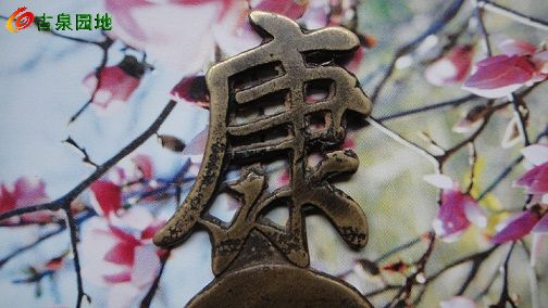 4_58164_0d7ce3e0dbfab42.jpg
