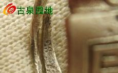 605_56617_b796465a3cf4072.jpg