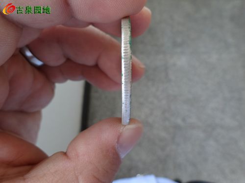 41_122694_b3cd64168e56b8c.jpg