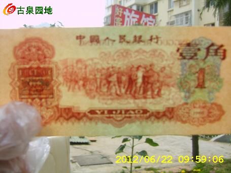 572_105772_eb26cfc0fb8a499.jpg