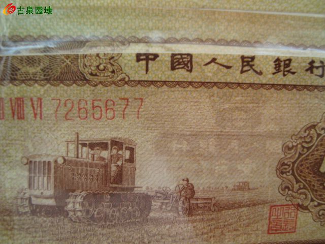 600_46263_17cbcb7336ba94b.jpg