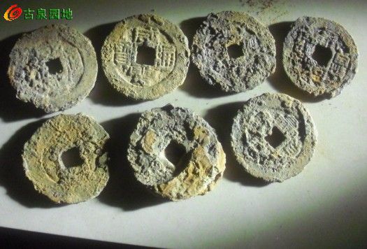 27_83060_d1ba801851ae875.jpg