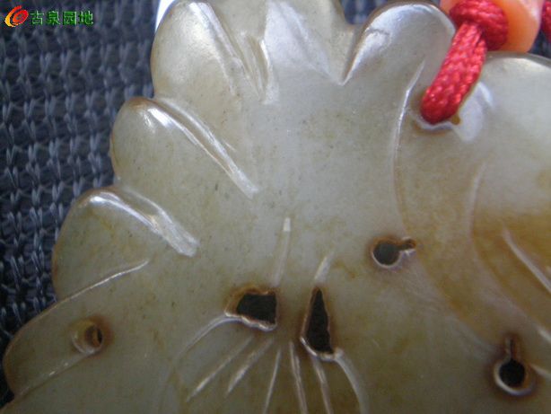 605_101385_bd4207a22df097d.jpg