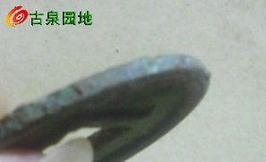 21_83060_acef22261b13862.jpg