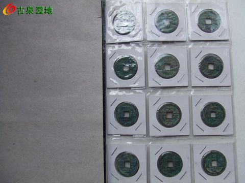 23_30276_144957f42f83d1e.jpg