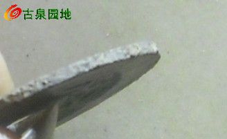 25_83060_9859bfd0864c0fe.jpg
