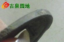 21_83060_3469b410e53a050.jpg