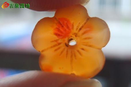 605_56617_6d123f2e501502d.jpg