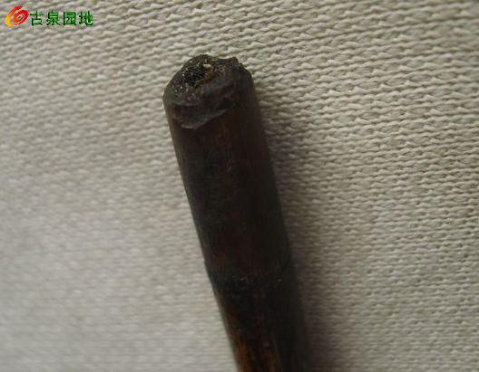 605_56617_2bab8597b3e99a9.jpg