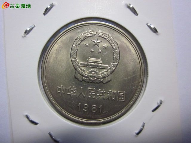 41_138923_d973ed8637b85e4.jpg