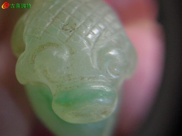 605_101385_98d0206bc1ea87e.jpg