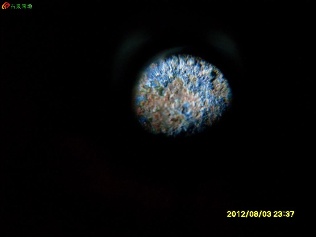 21_120019_114d9d2d306d7c3.jpg