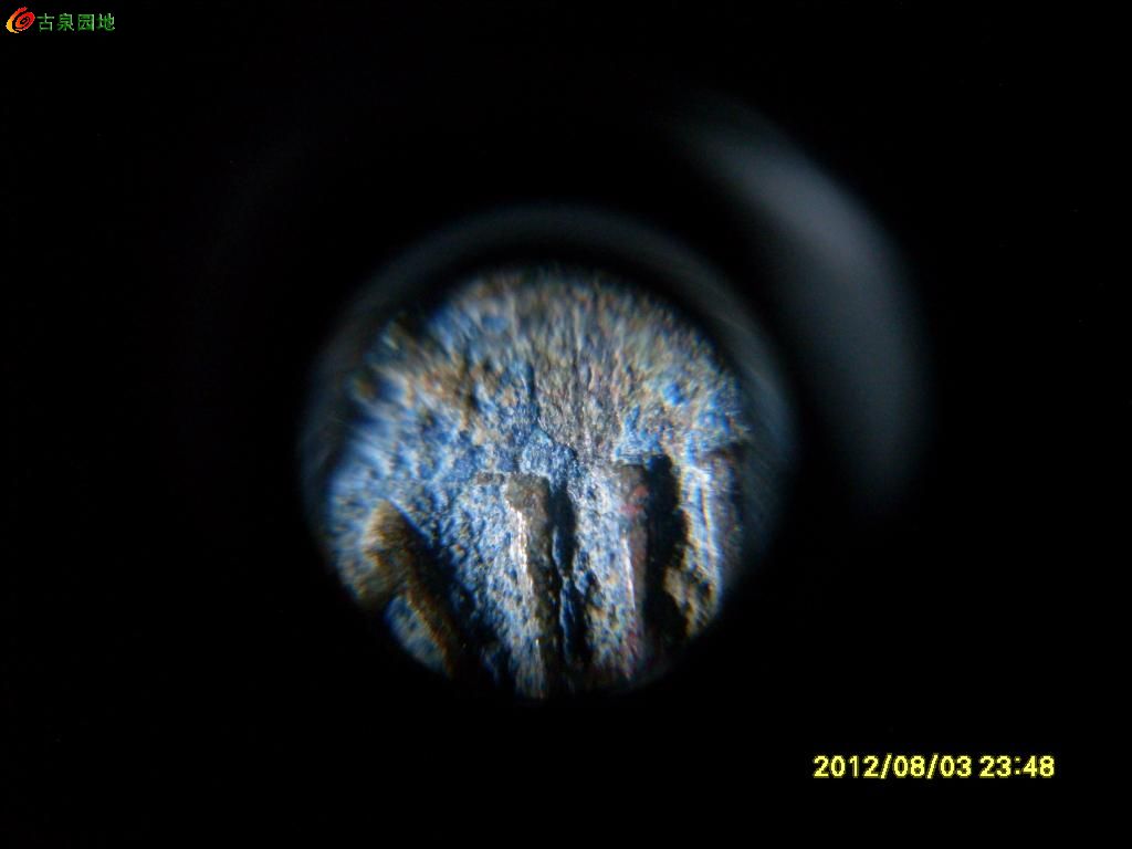 21_120019_25ddf620cf5a2b1.jpg