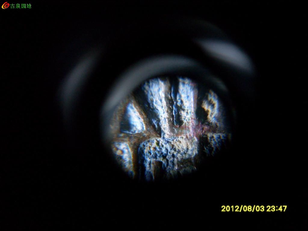 21_120019_529a557cb19c12c.jpg