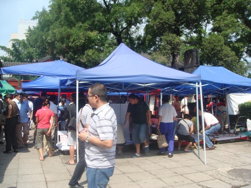 6_10031_92ecfec862bba15.jpg