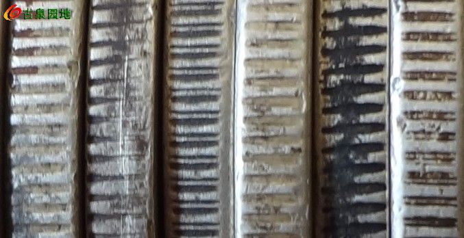 572_133476_c41034355490d82.jpg