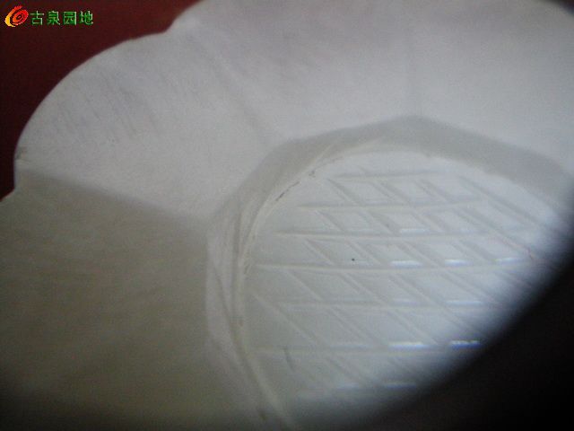 605_101385_d1e70682252c3ec.jpg