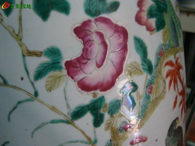 606_46263_bb50d44f7de54cc.jpg