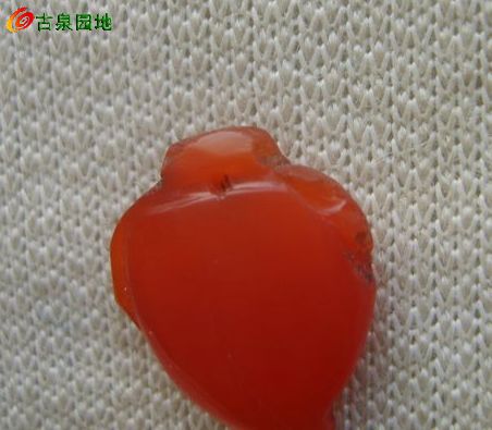 605_56617_872826a24c156ed.jpg