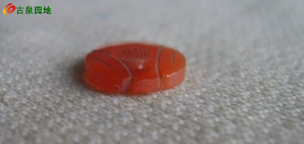 605_56617_8dfcfc05cdee460.jpg