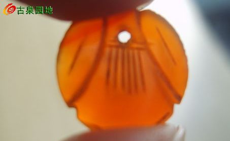 605_56617_e633c1b2ca90640.jpg