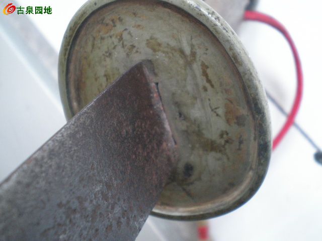 116_101385_d4bd26f182c34c3.jpg