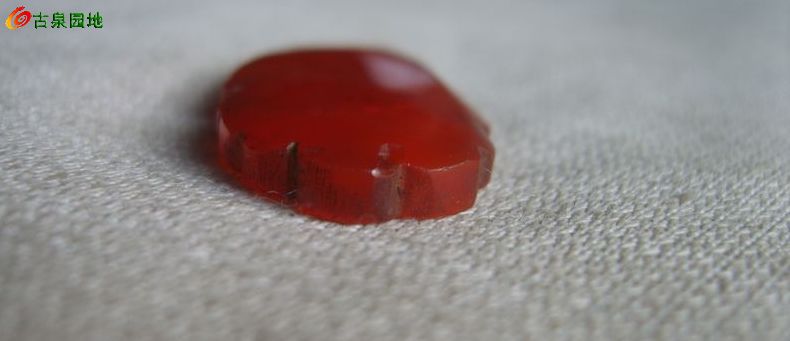 605_56617_287207ebb486934.jpg