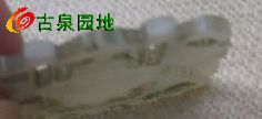 605_56617_175744fe4c979ef.jpg