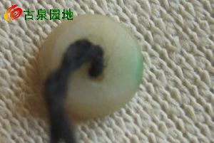 605_56617_cb4ead1fc9c37ce.jpg