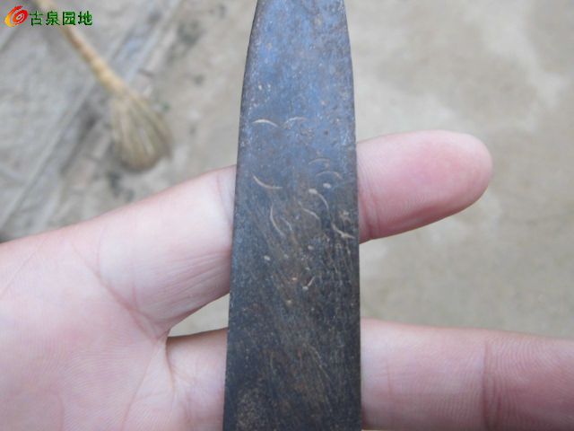 116_64440_adb22aa9cd70baa.jpg